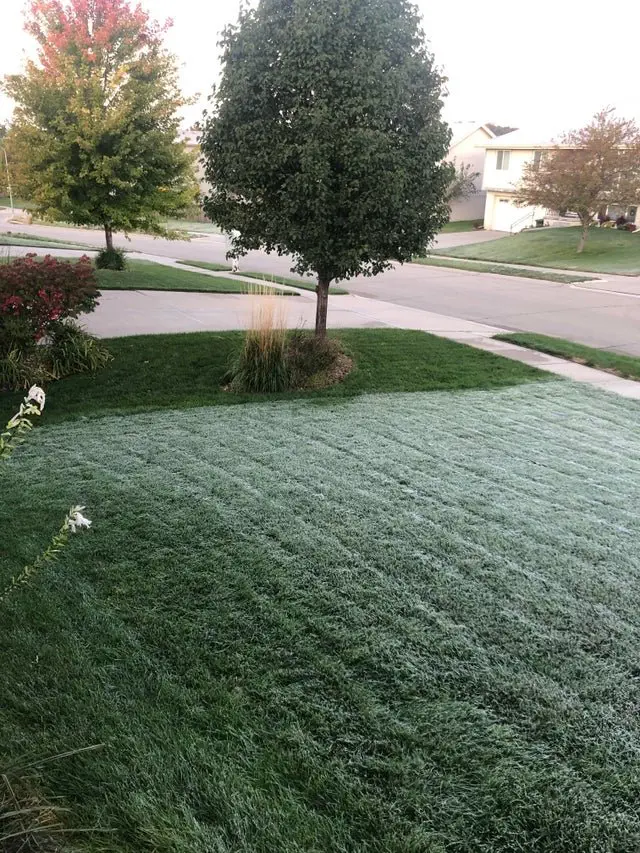 Image credit: Reddit | Chamber11