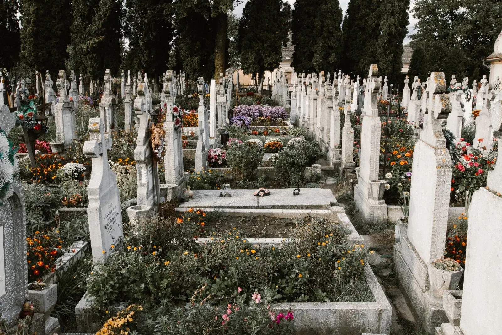 Image credit: Unsplash | Anton Darius