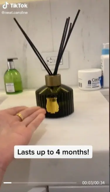 Image credit: TikTok | TikTok l neat.caroline