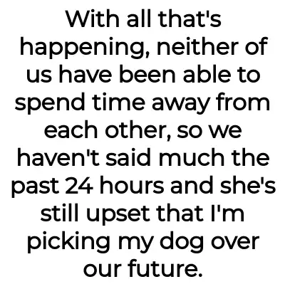 Image credit: gooddogbadbf | gooddogbadbf