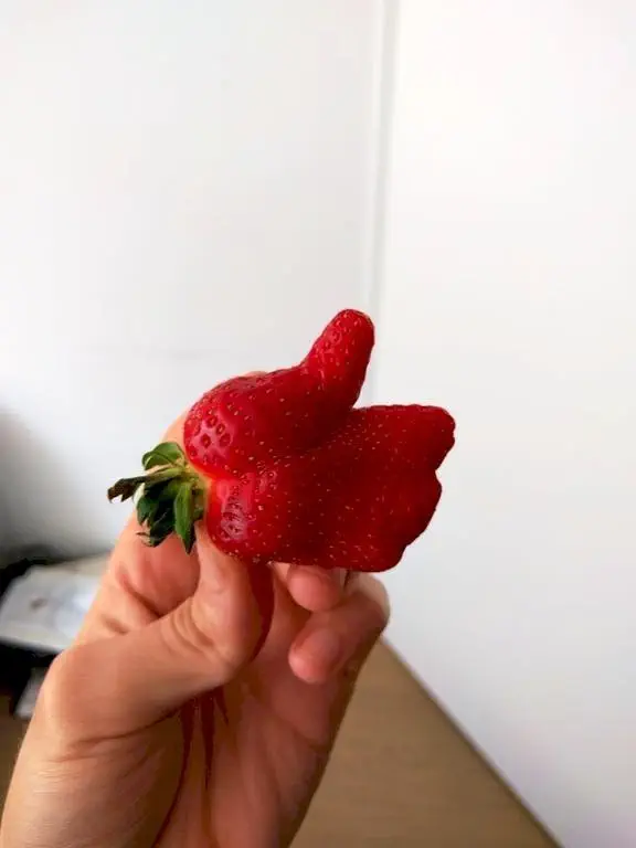 Image credit: Reddit | sthngo