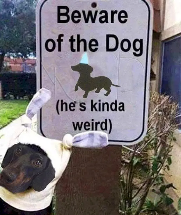 Image credit: Reddit | bakedwafflez