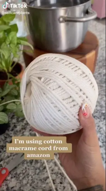 Image credit: TikTok | TikTok l selfcareplants