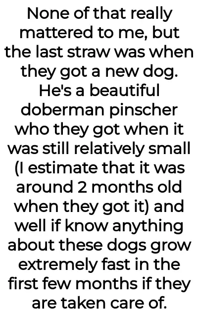 Image credit: throwawayforthedogs1 | throwawayforthedogs1