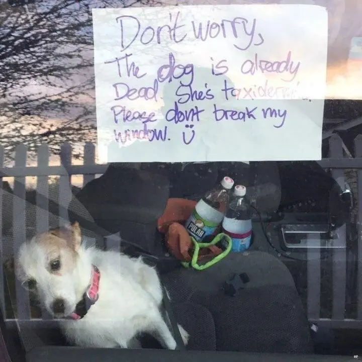 Image credit: Reddit | CarneyBarney