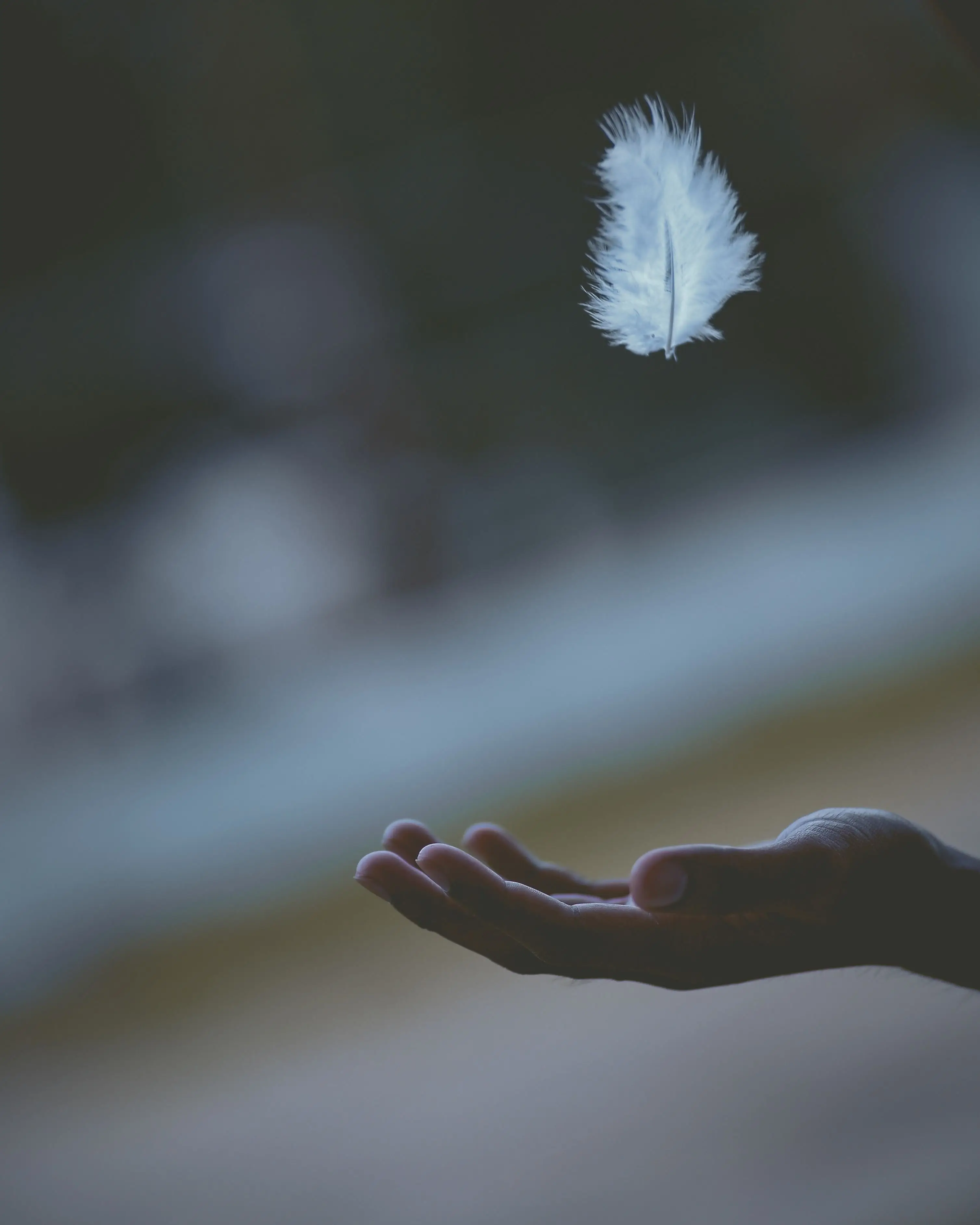 Image credit: Unsplash | Javardh