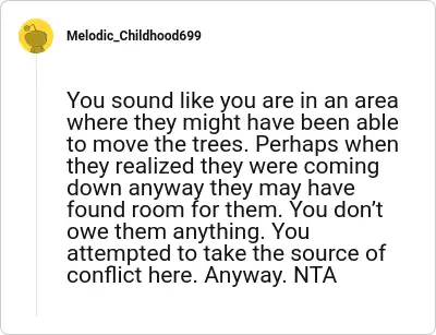 Image credit: Melodic_Childhood699 | Melodic_Childhood699