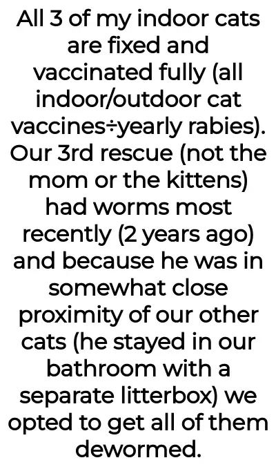 Image credit: catladyaita | catladyaita