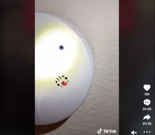 Image credit: TikTok | @malwaretech