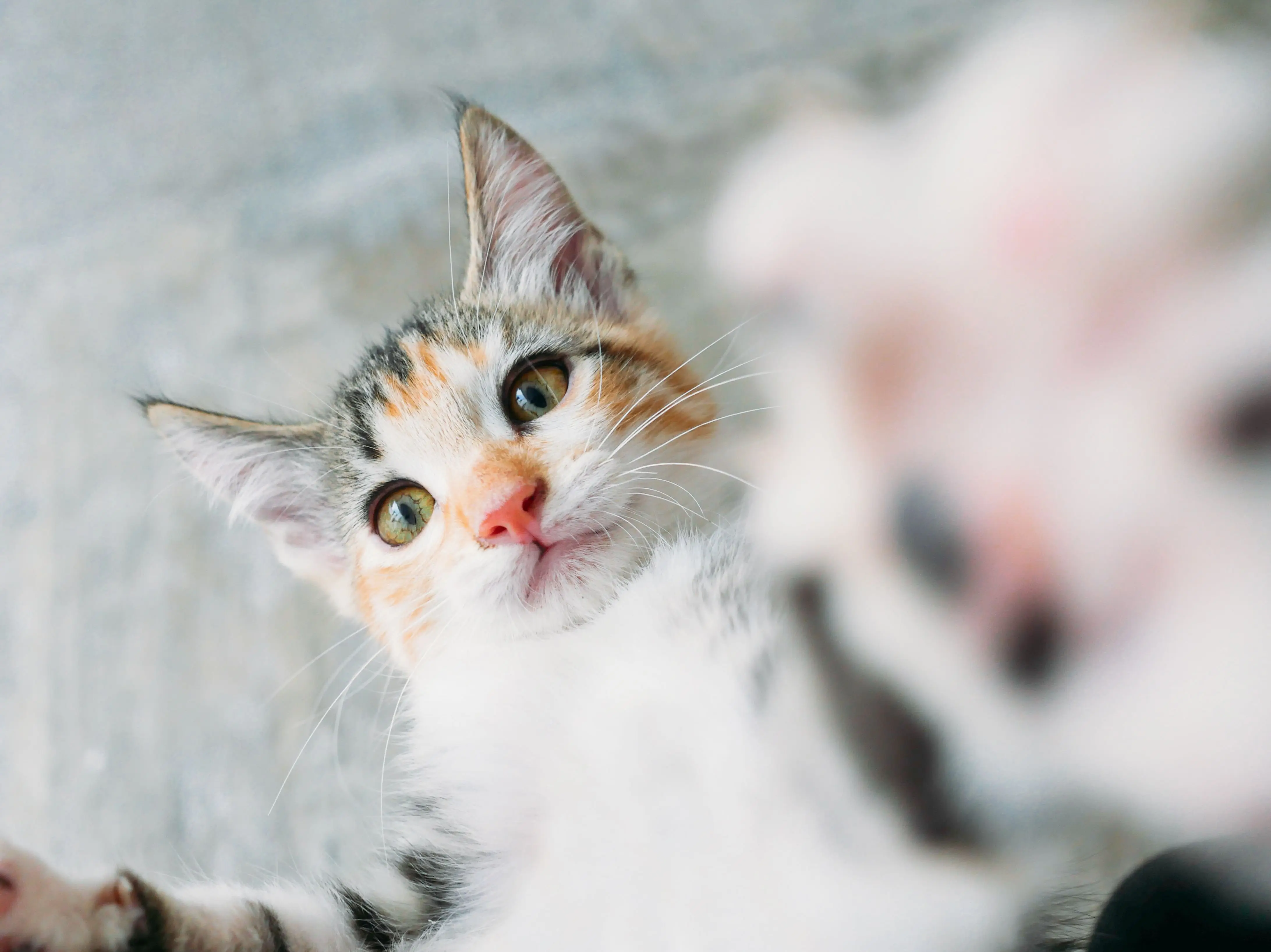 Image credit: Unsplash | Mariana Montes de Oca