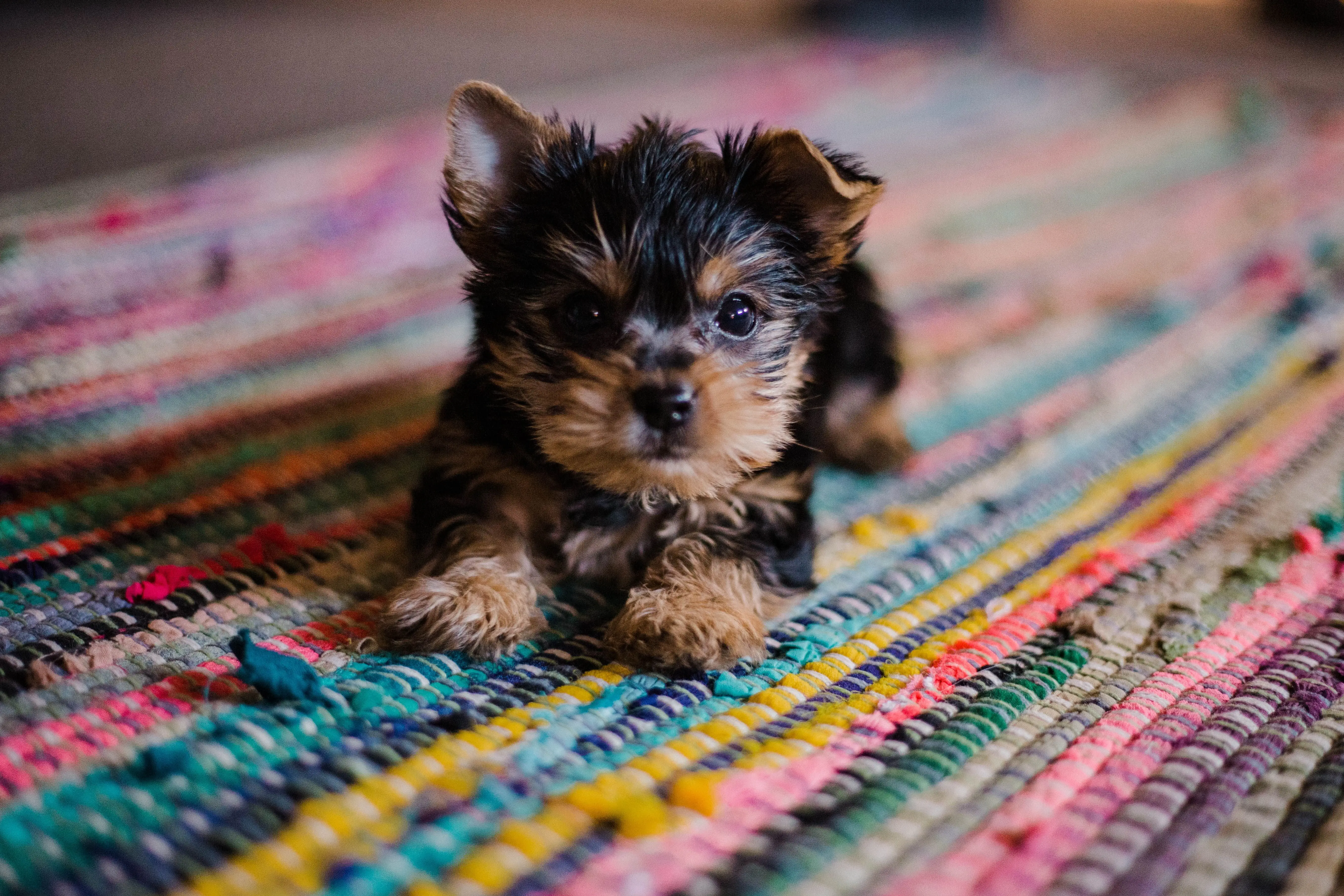 Image credit: Unsplash | hannah grace