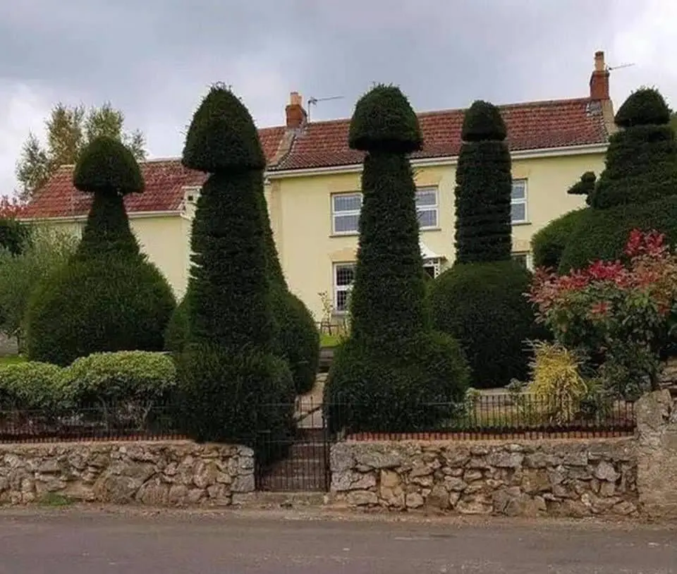Image credit: Reddit | u/CountrymanR60