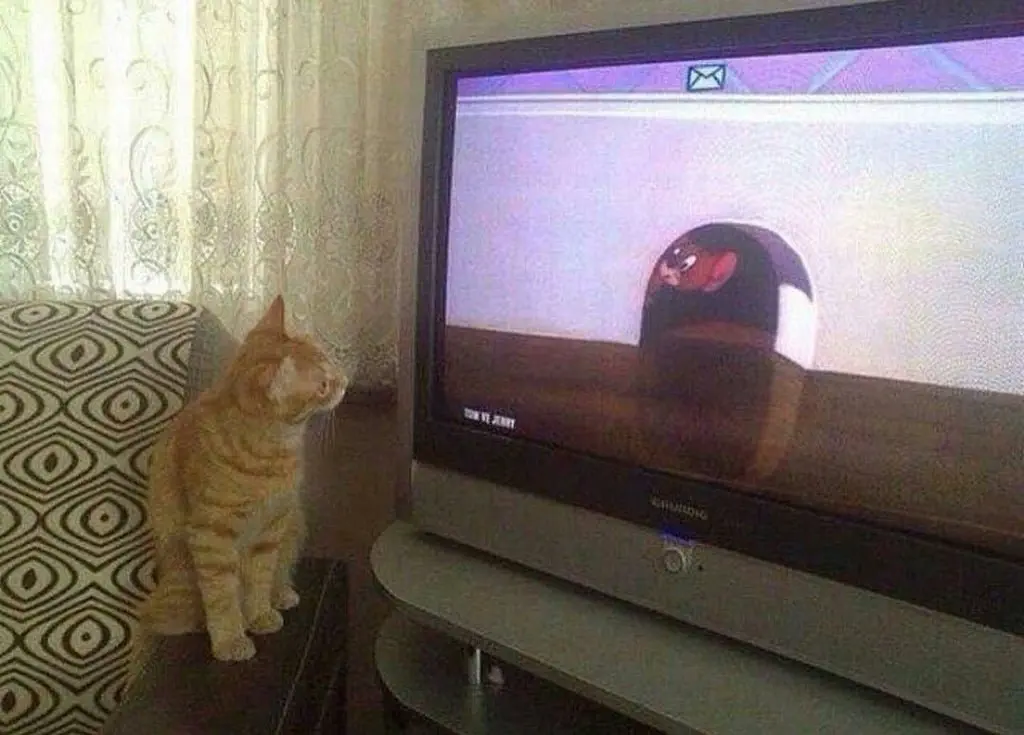 Image credit: Reddit | CamTheChest