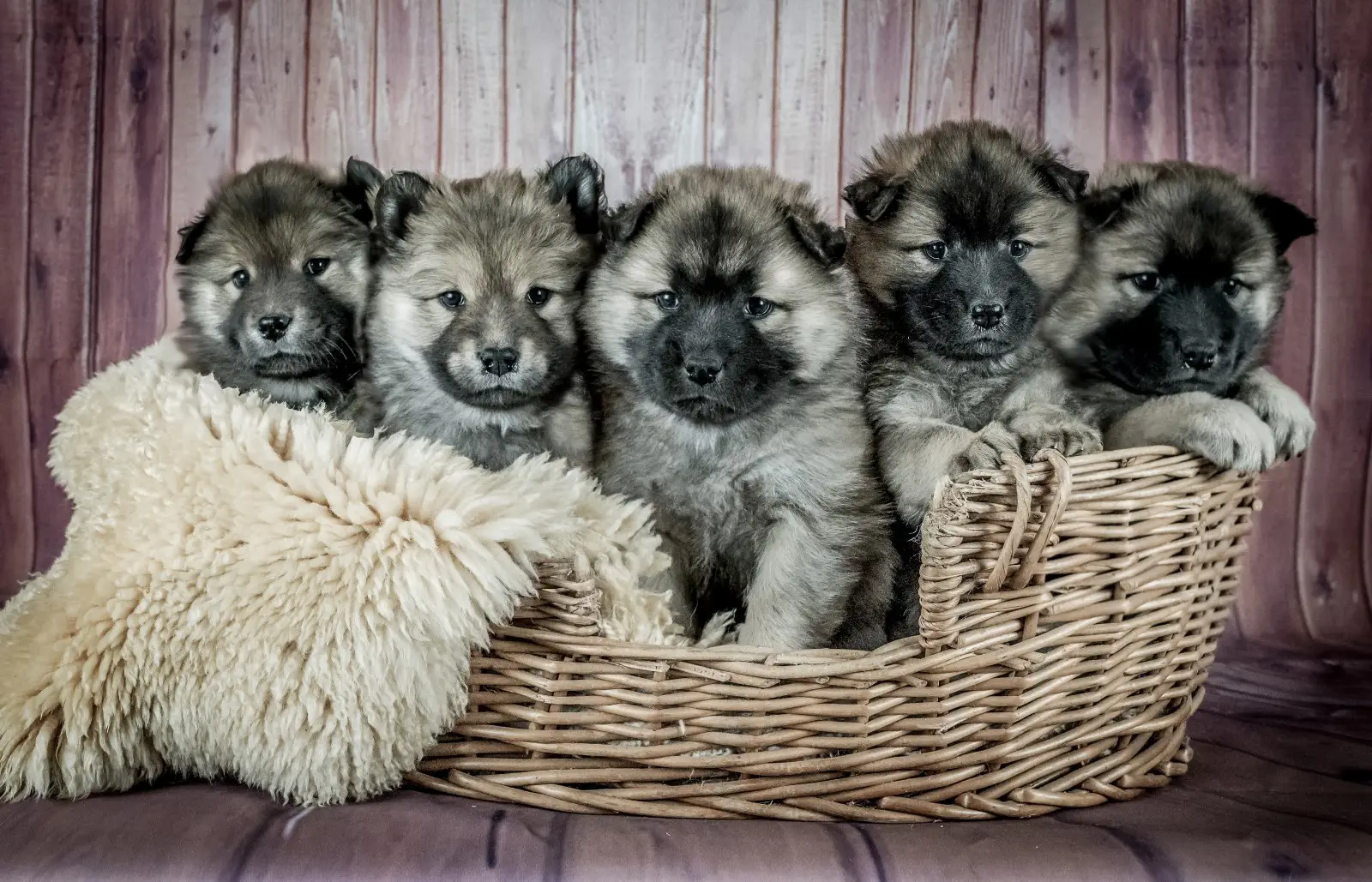 Image credit: Judi Neumeyer l Unsplash
