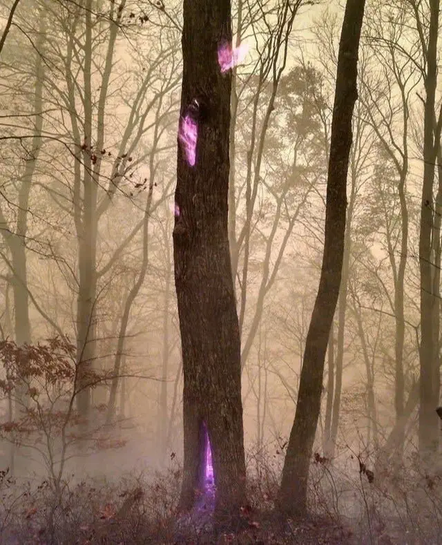 Image credit: Reddit | Voodootroy