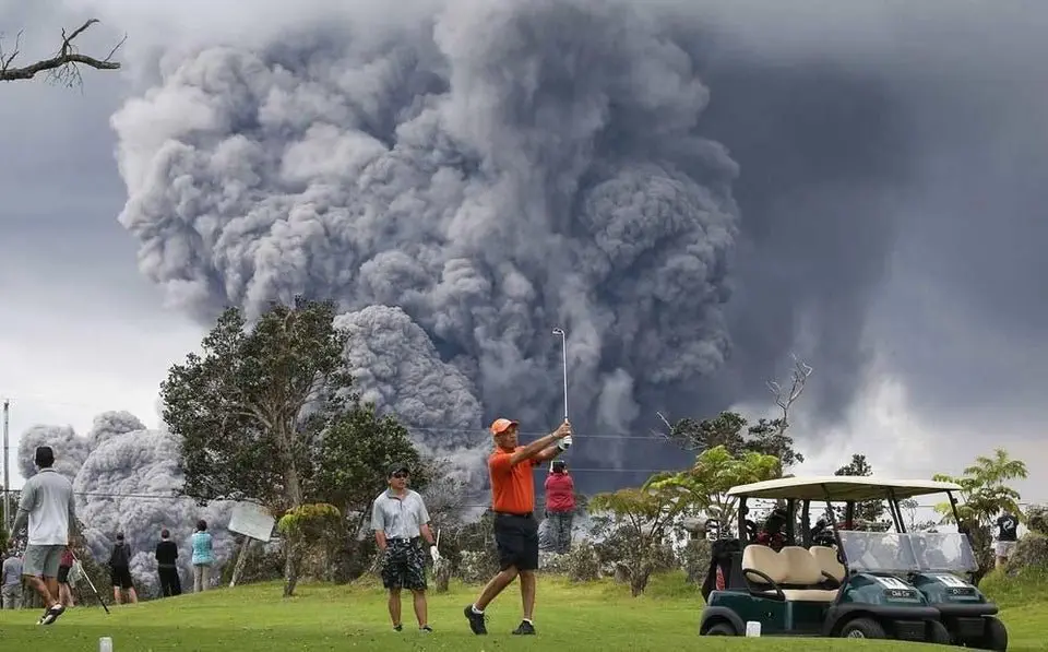 Image credit: Reddit | Cat-like-reflexes