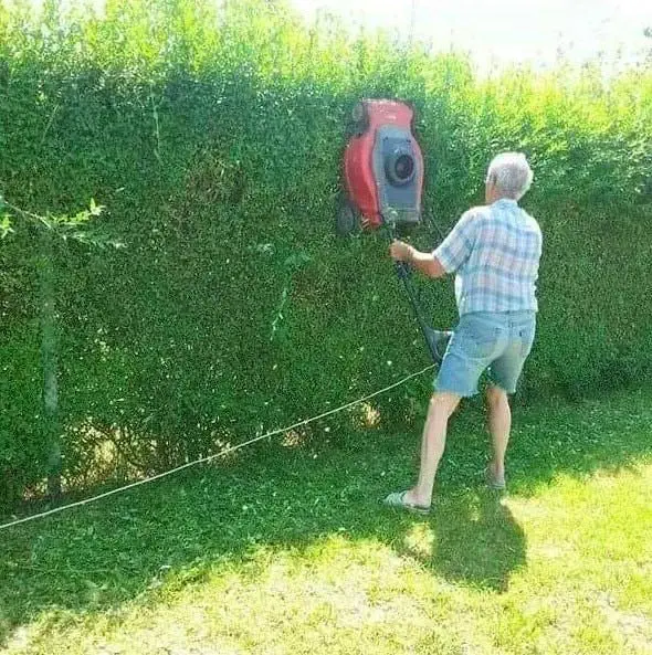 Image credit: Reddit | WeAreWonderfulNow