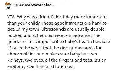 Image credit: GeeseAreWatching | GeeseAreWatching
