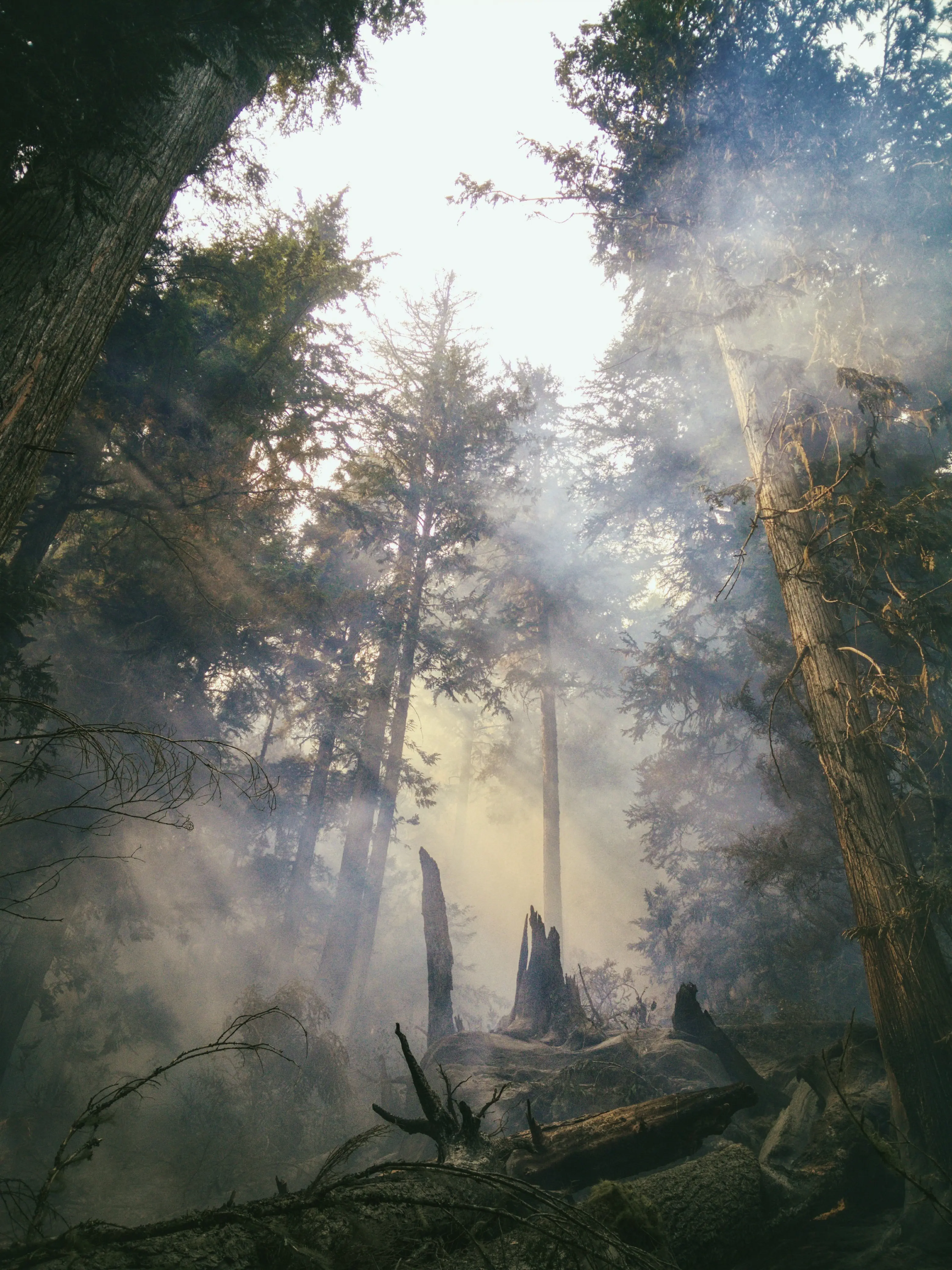 Image credit: Unsplash | Landon Parenteau