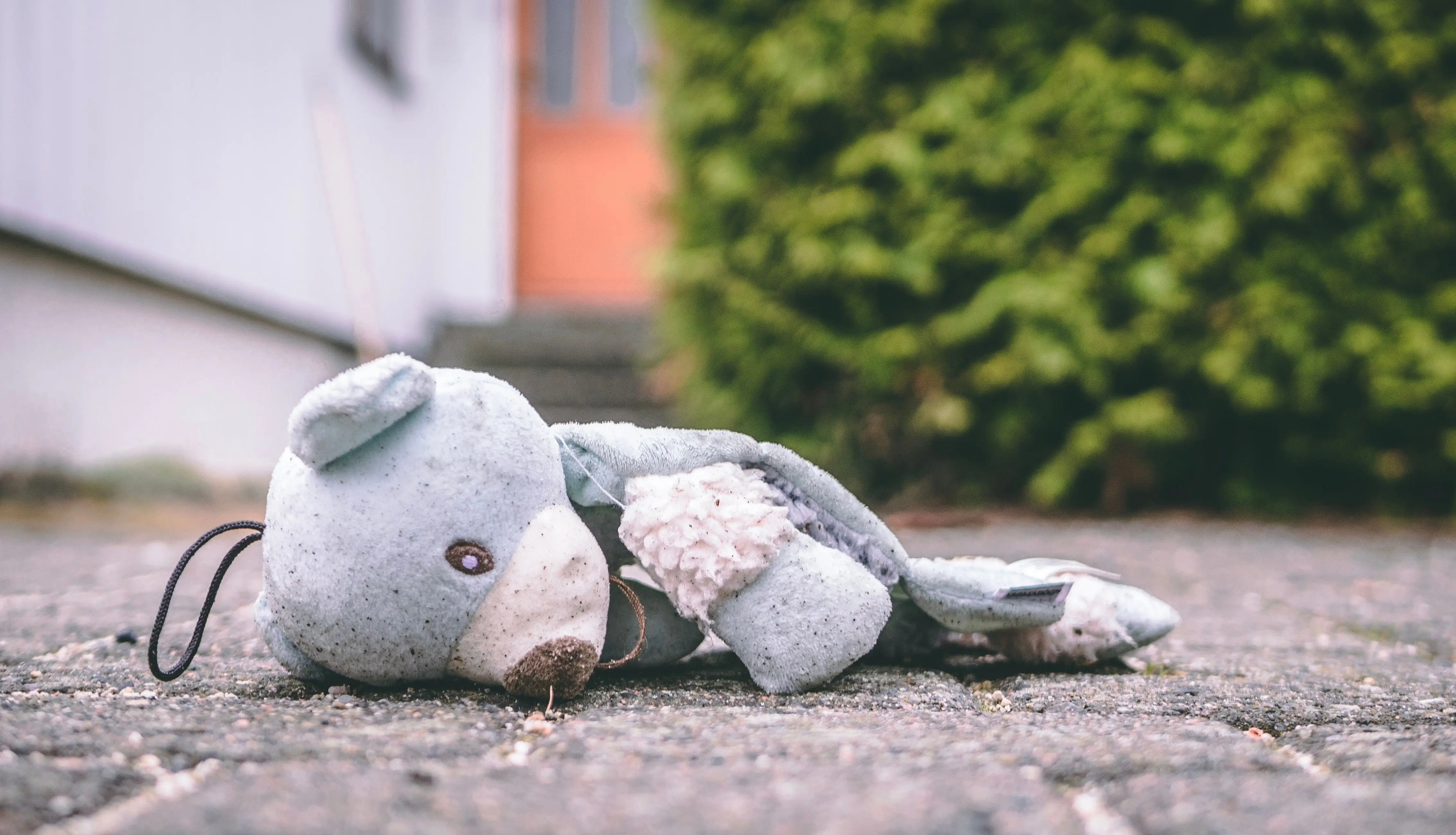 Image credit: Unsplash | Trym Nilsen