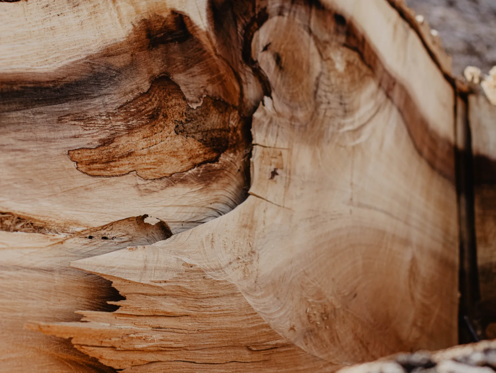 Image credit: Unsplash | René Porter