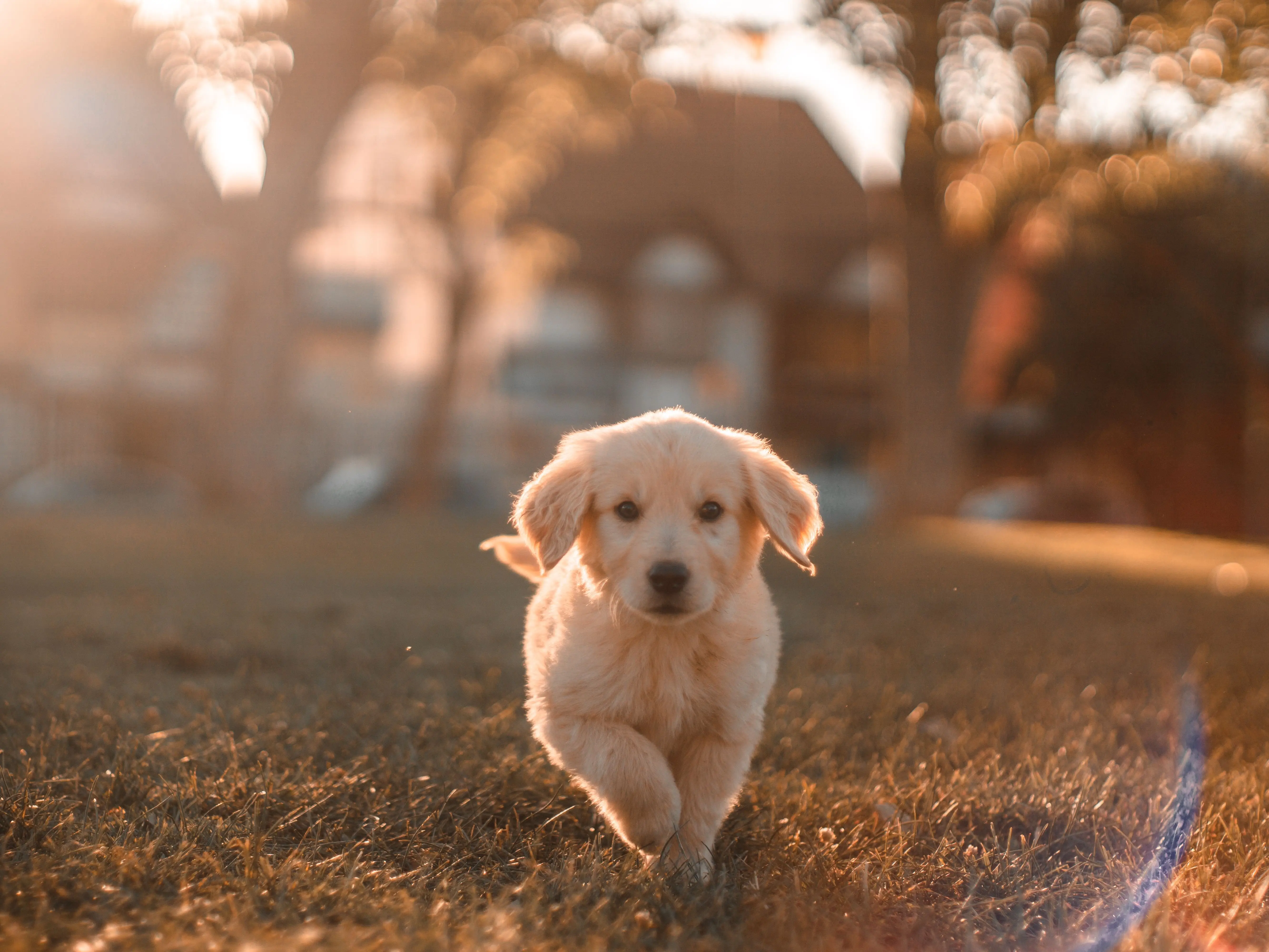 Image credit: Unsplash | Cristian Castillo