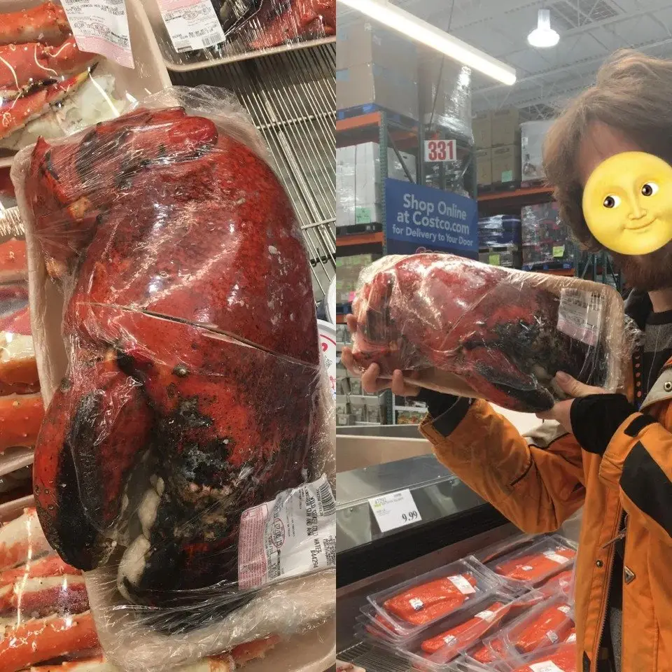 Image credit: reddit | kelsobjammin