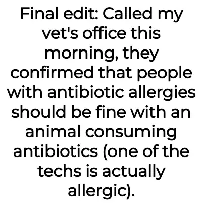 Image credit: catantibioticsaita | catantibioticsaita