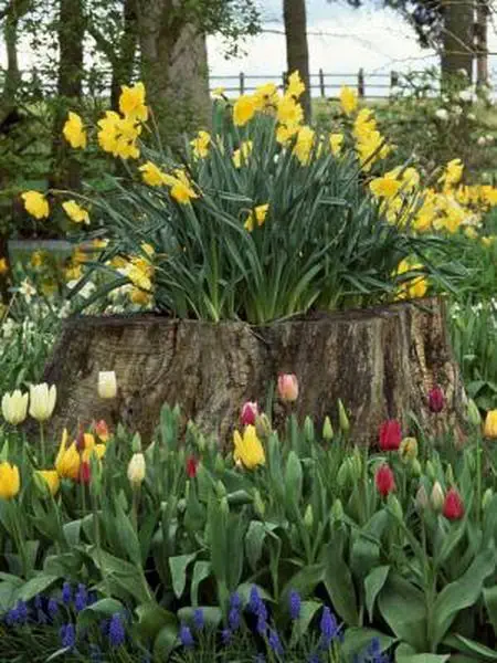 Image credit: Pinterest