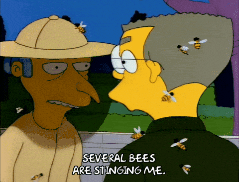 Image credit: Giphy