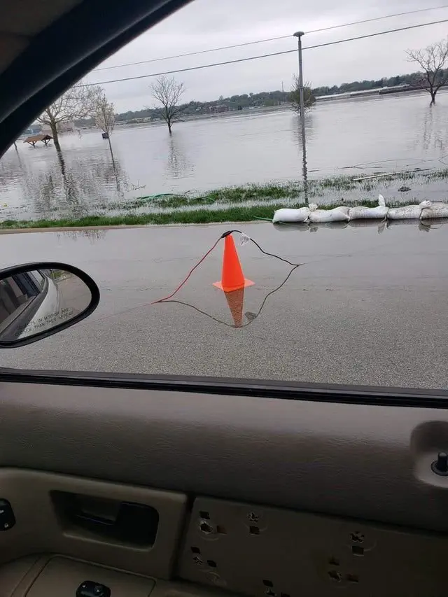Image credit: reddit | Mirian_Ahern