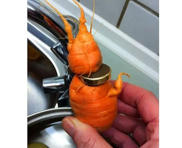 Image credit: reddit | u/ebenonce