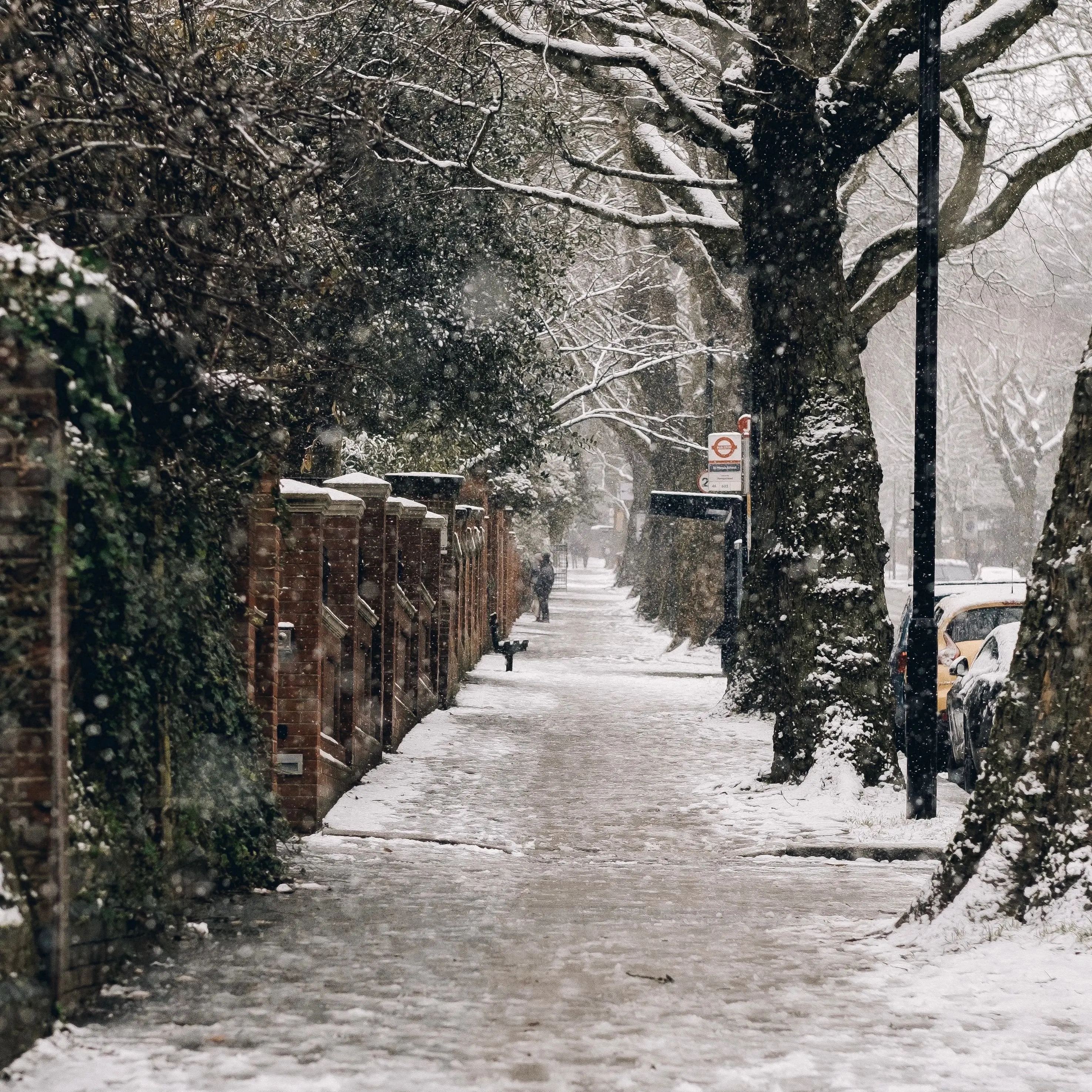Image credit: Unsplash | london.nanzhi