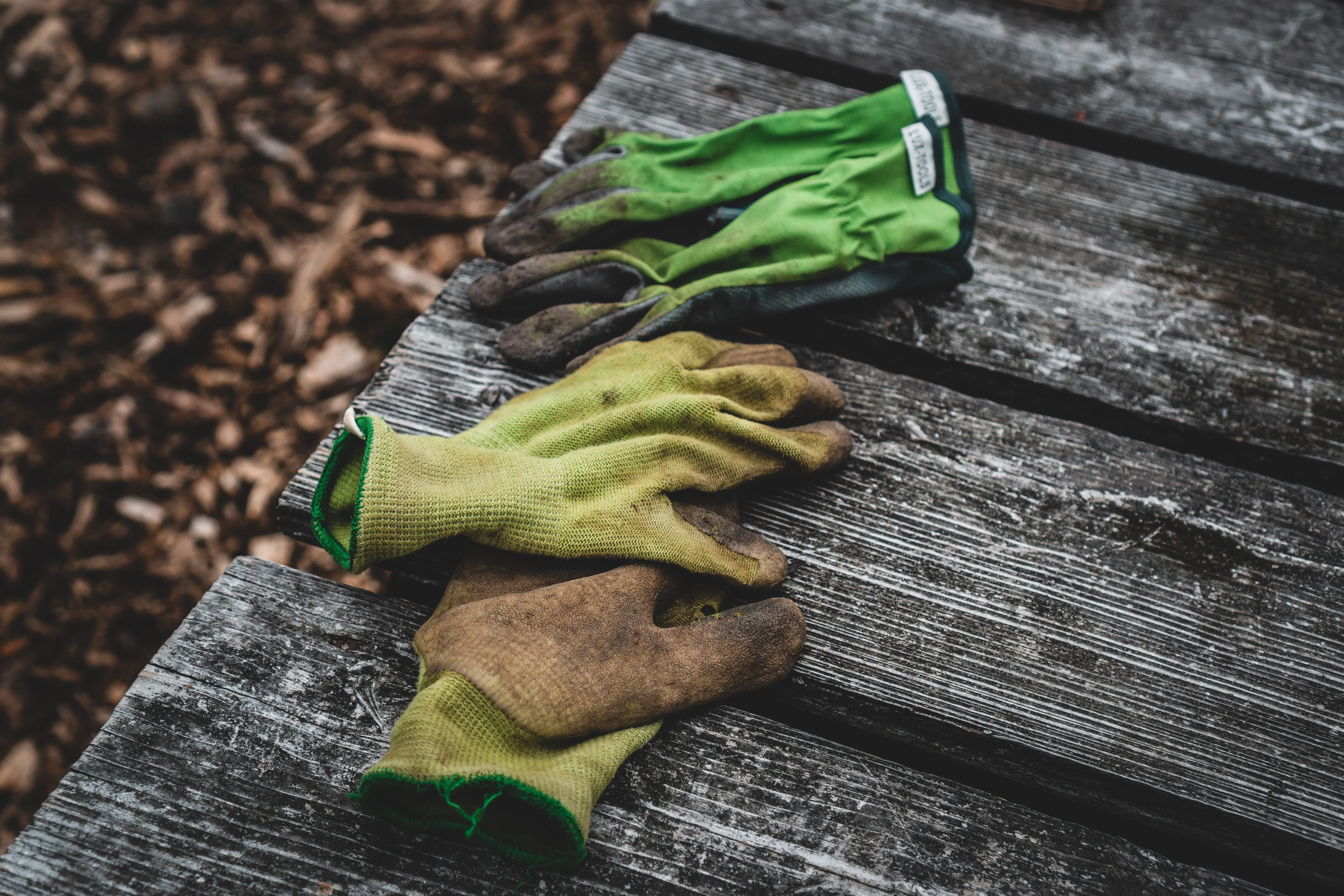 Image credit: Unsplash | Jonathan Kemper
