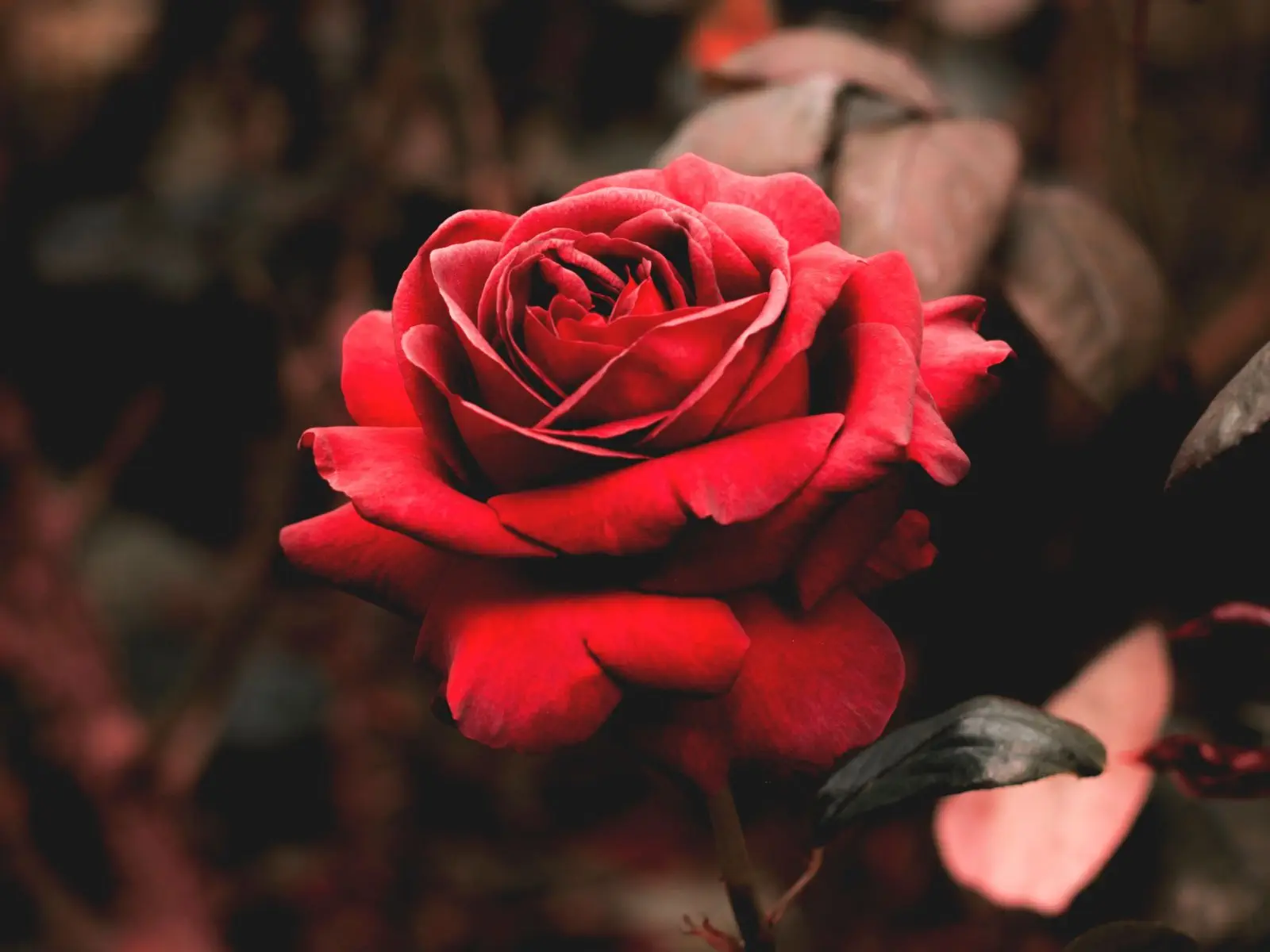 Image credit: Unsplash | Edward Howell