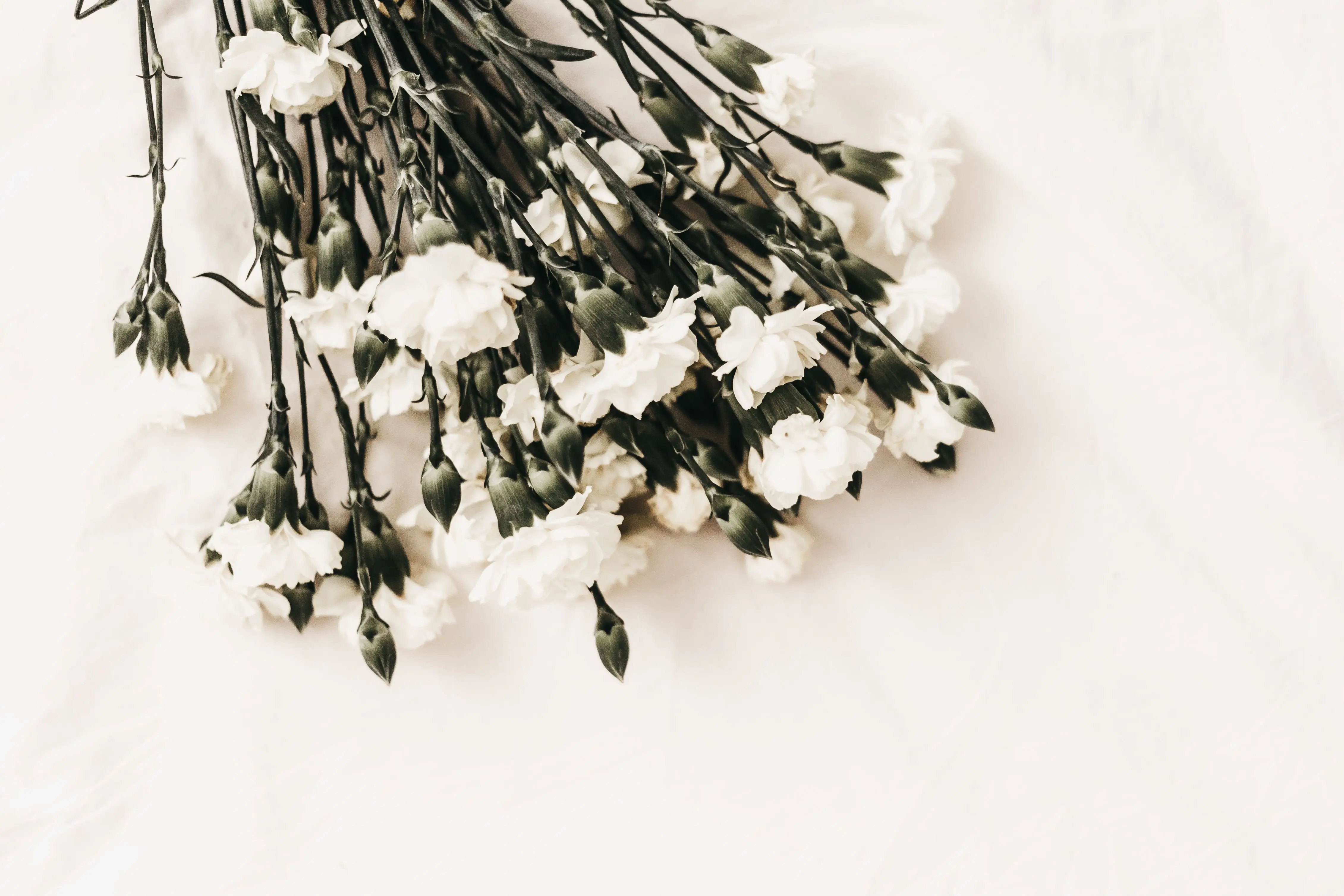 Image credit: Unsplash | Kerri Shaver