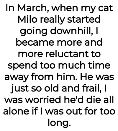 Image credit: tanotgonnastepmom | tanotgonnastepmom