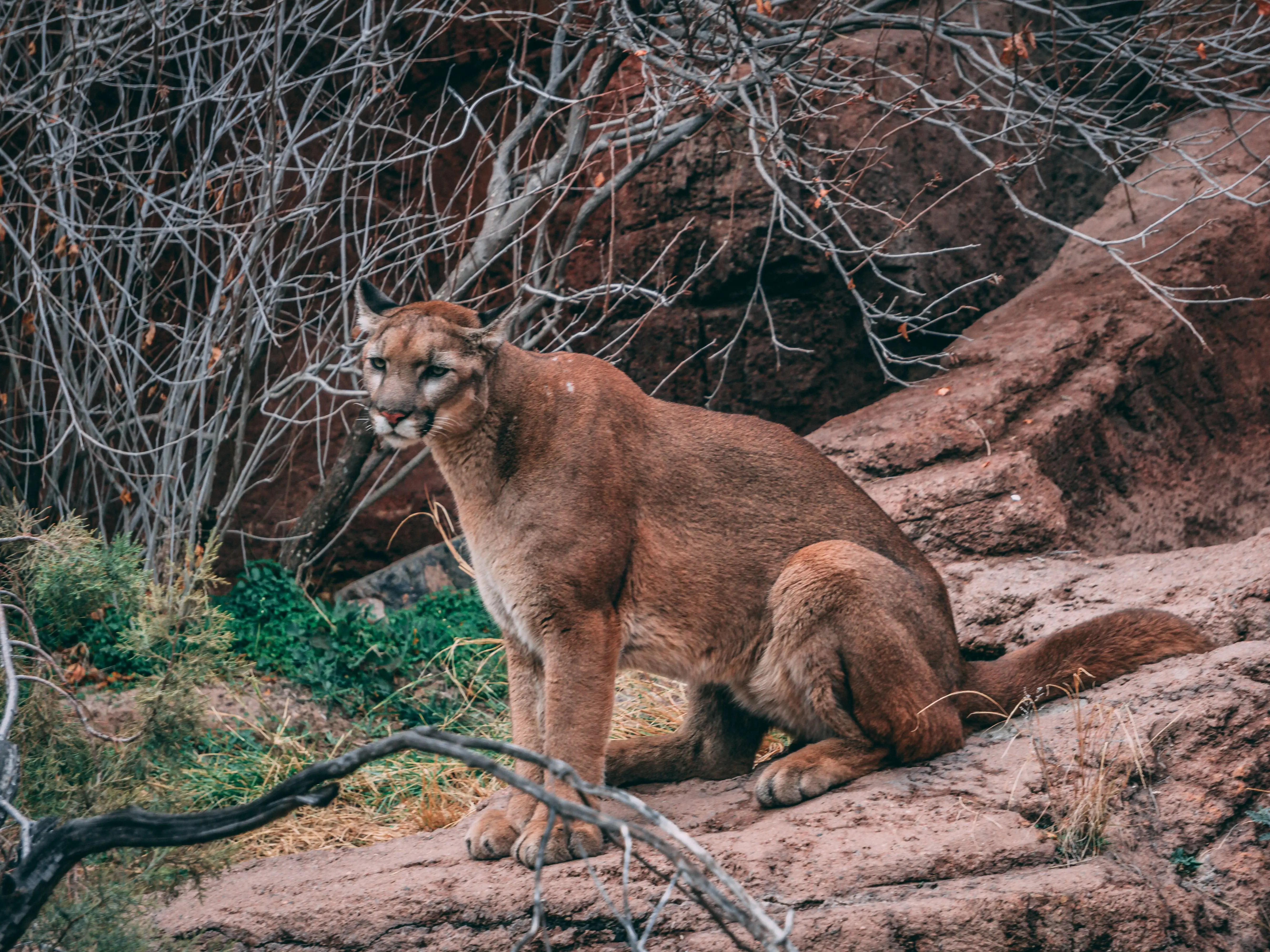 Image credit: Unsplash | Zach Key