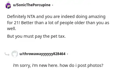 Image credit: SonicThePorcupine | SonicThePorcupine