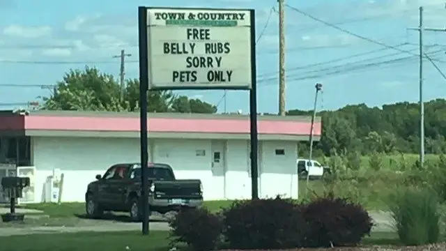 Image credit: reddit | u/ODLL223