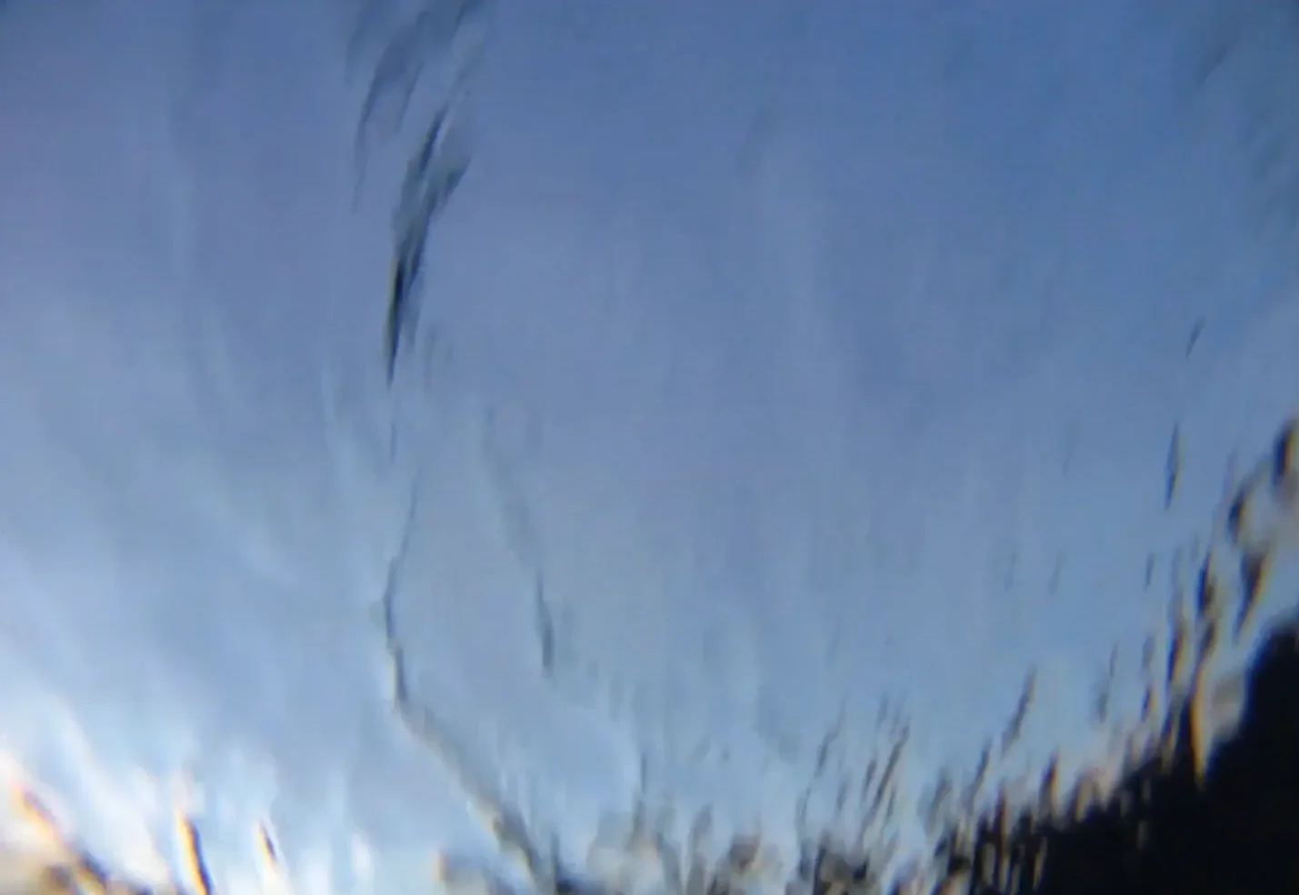 Image credit: Vimeo | Murdoch University