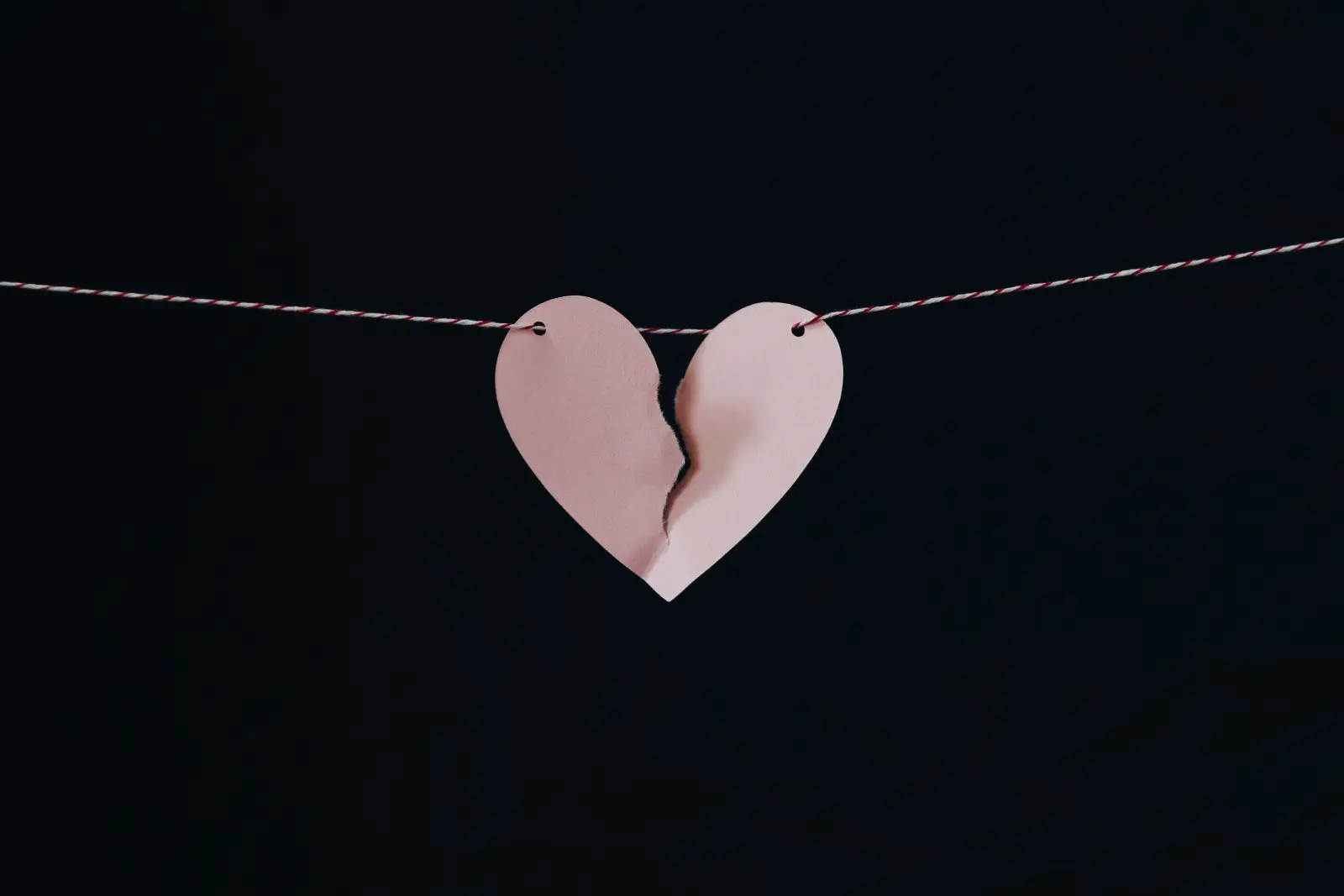 Image credit: Unsplash | Kelly Sikkema