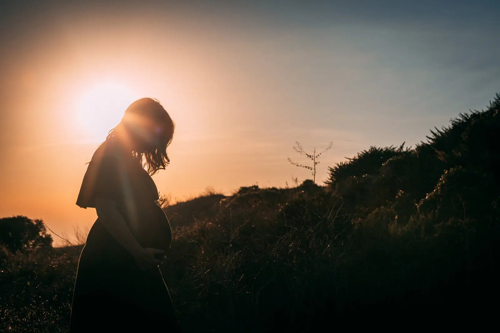 Image credit: Unsplash | Josh Bean