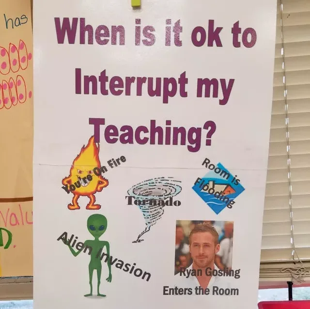 Image credit: Reddit | SkippyBluestockings