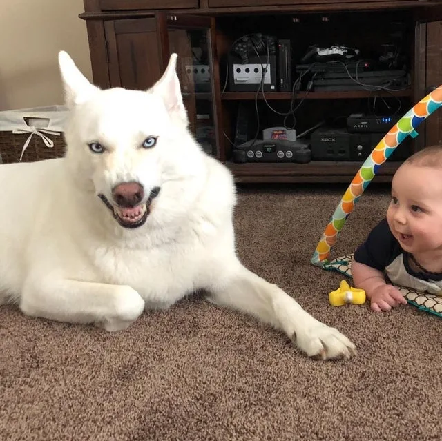 Image credit: Reddit | FluffyBicepz