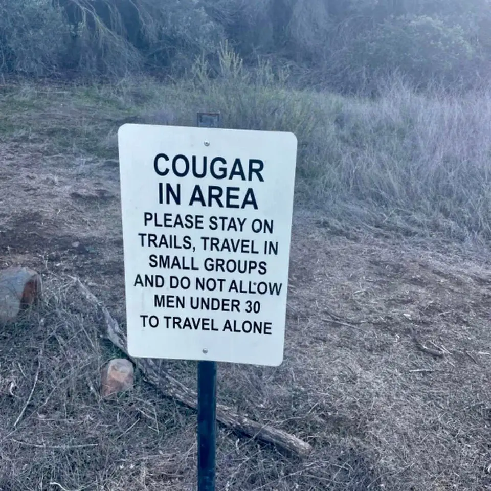 Image credit: Reddit | nofomo2