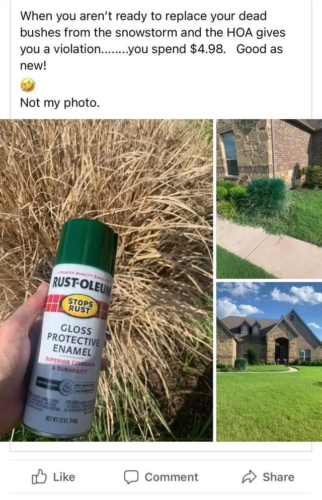 Image credit: Reddit | u/killamcleods