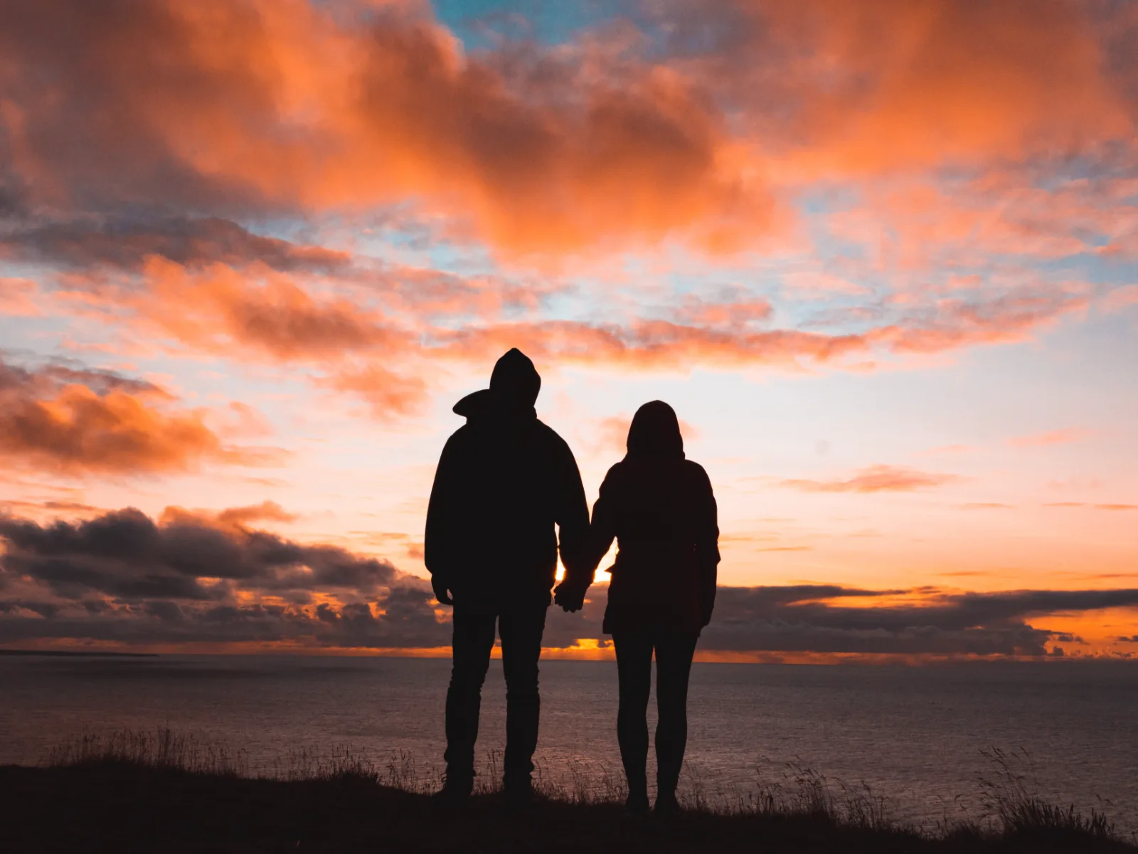 Image credit: Unsplash | Alex Iby