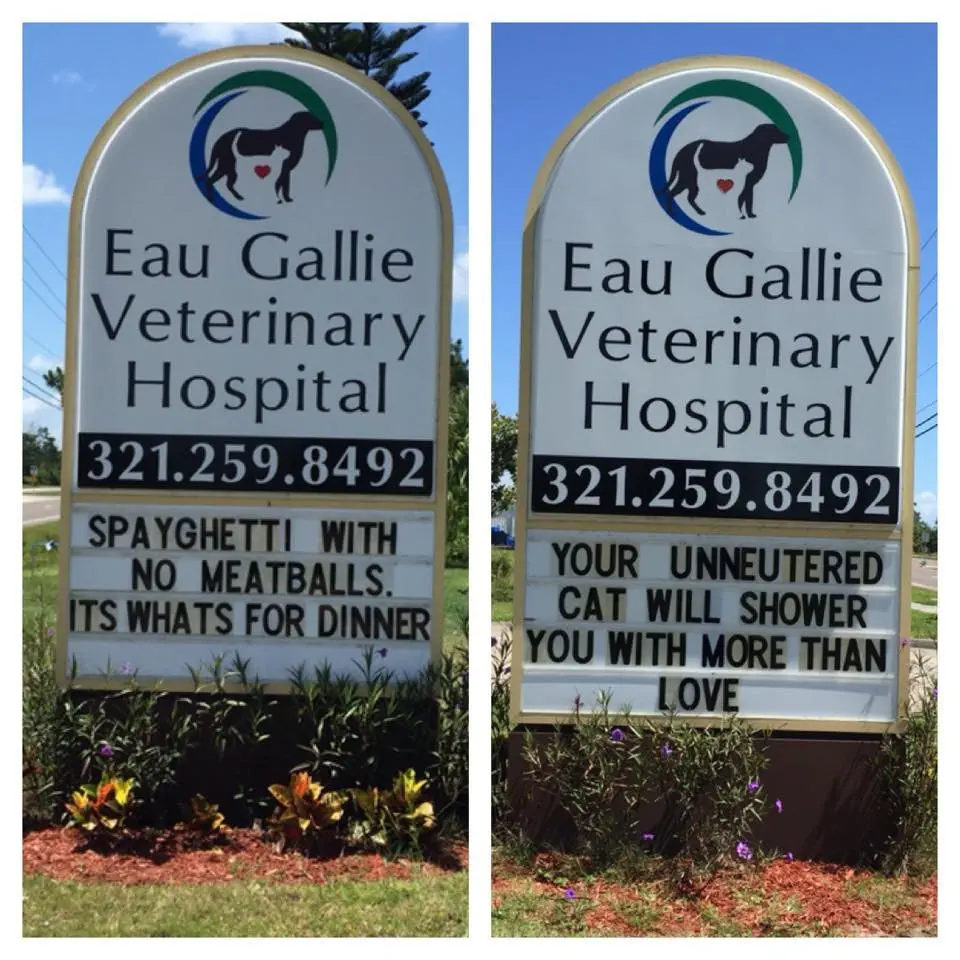 Image credit: Facebook | Eau Gallie Veterinary Hospital