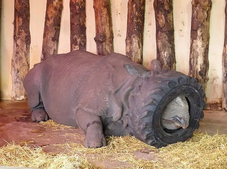 Image credit: Reddit | tubbytucker
